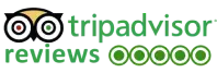 Trip Advisor Logo